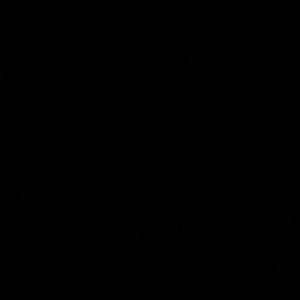 Meet your Posher, Savannah